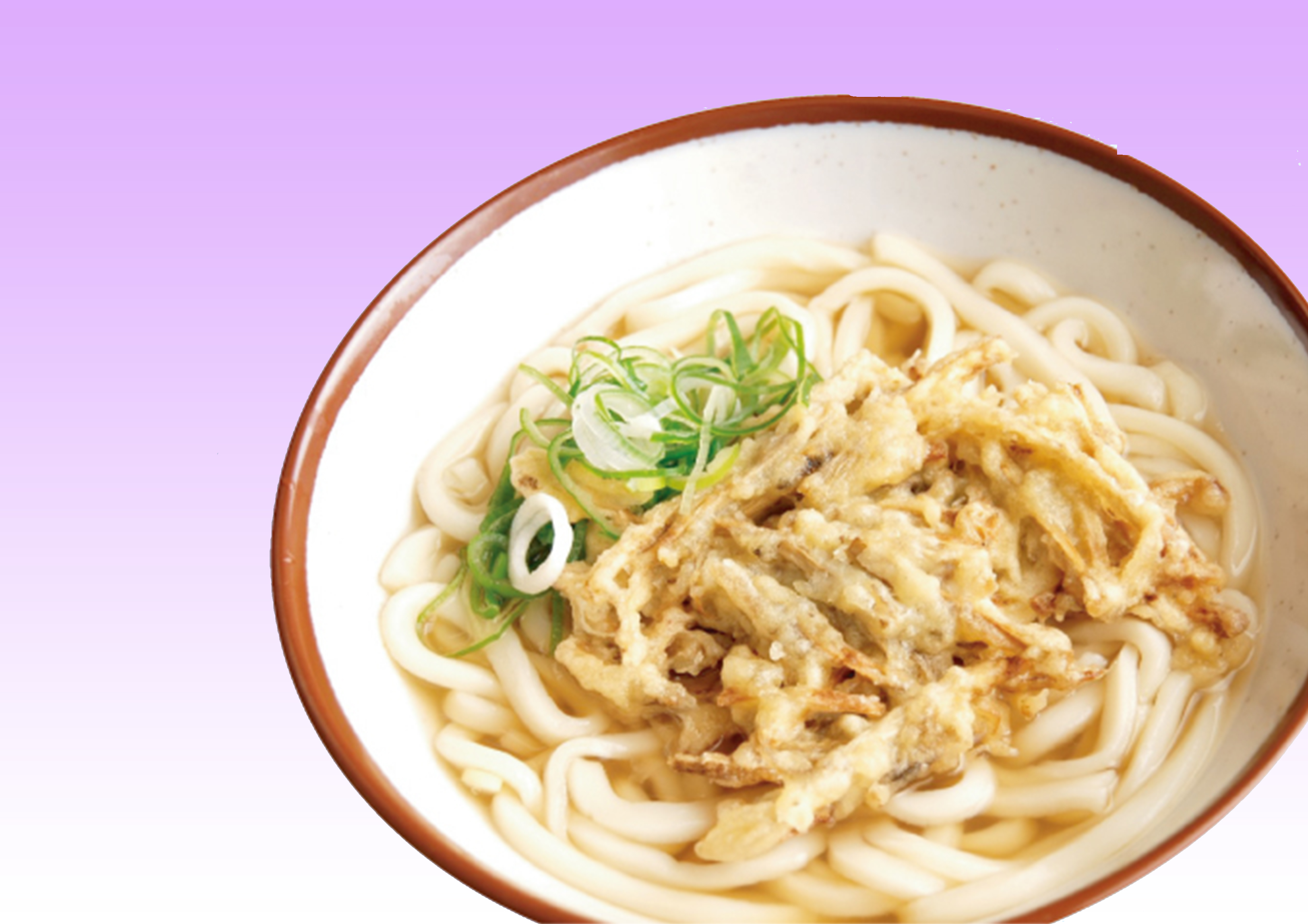 ごぼううどん・そば