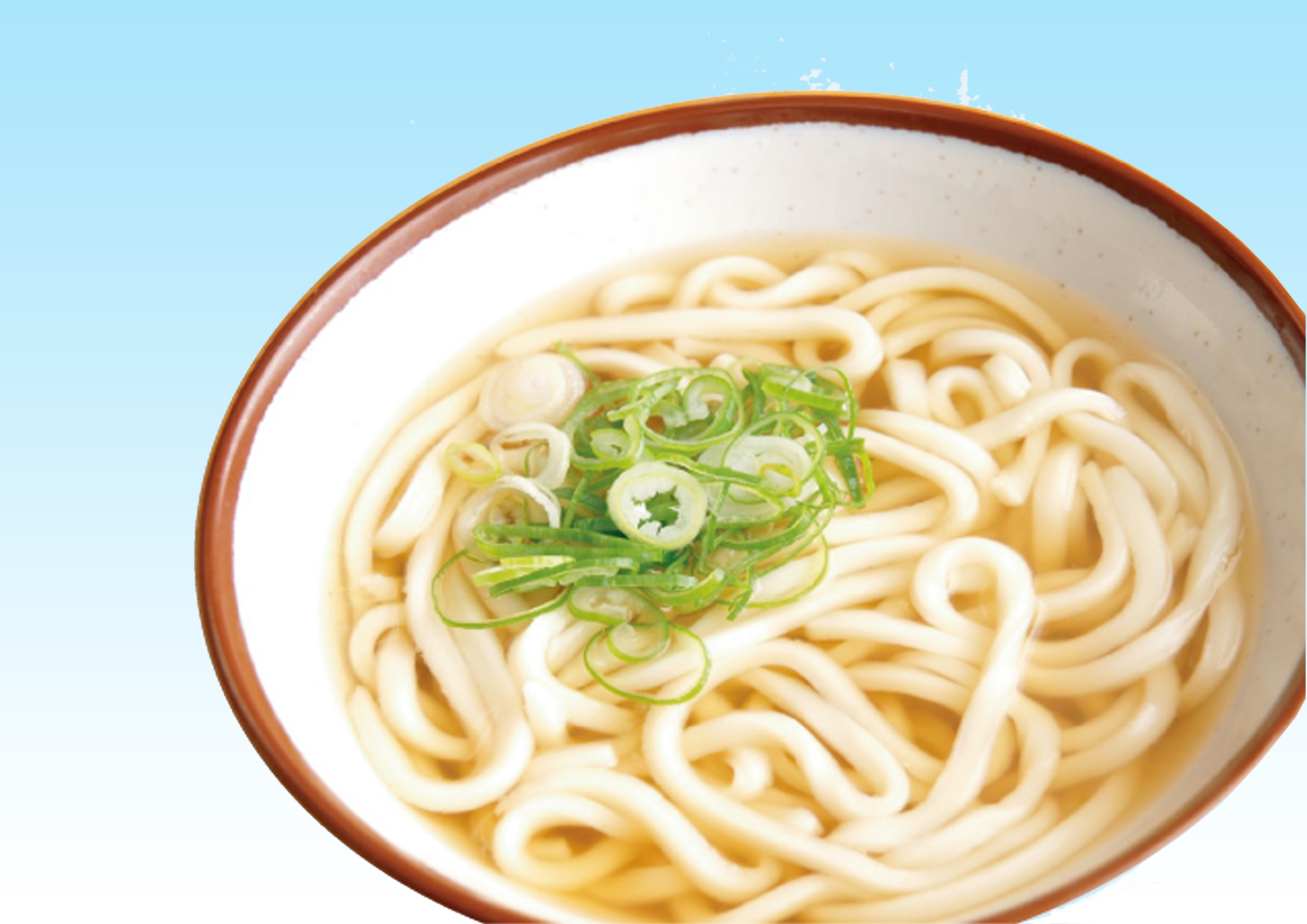 かけうどん・そば